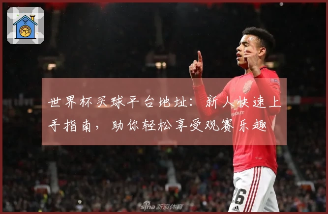 世界杯买球平台地址:新人快速上手指南,助你轻松享受观赛乐趣