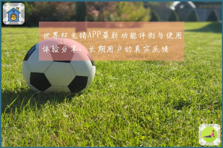 世界杯竞猜APP最新功能评测与使用体验分享，长期用户的真实反馈