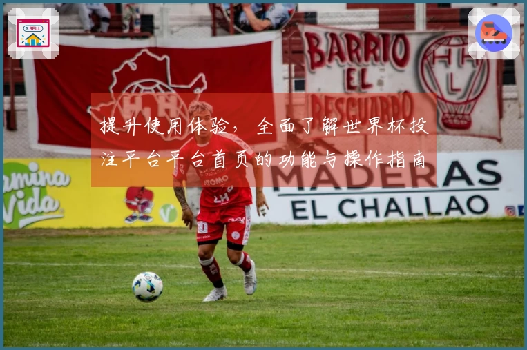 提升使用体验，全面了解世界杯投注平台平台首页的功能与操作指南