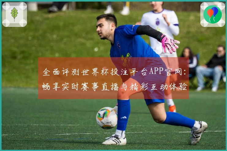 全面评测世界杯投注平台APP官网：畅享实时赛事直播与精彩互动体验