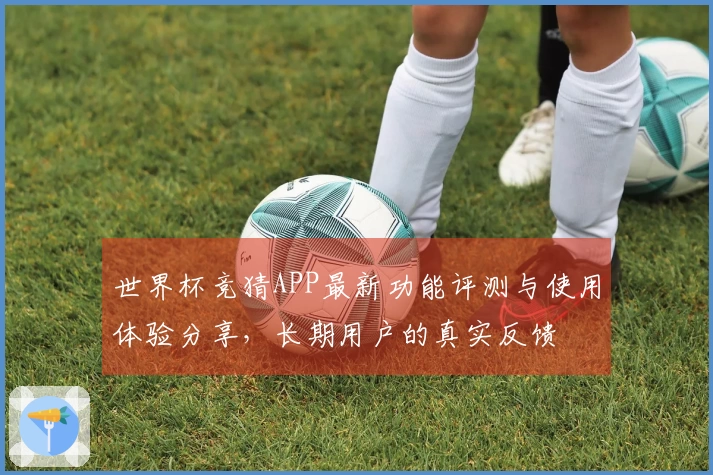 世界杯竞猜APP最新功能评测与使用体验分享，长期用户的真实反馈