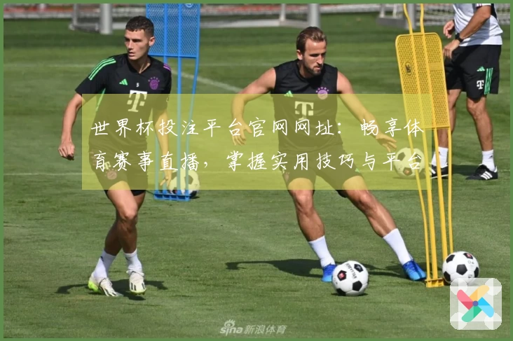 世界杯投注平台官网网址：畅享体育赛事直播，掌握实用技巧与平台亮点
