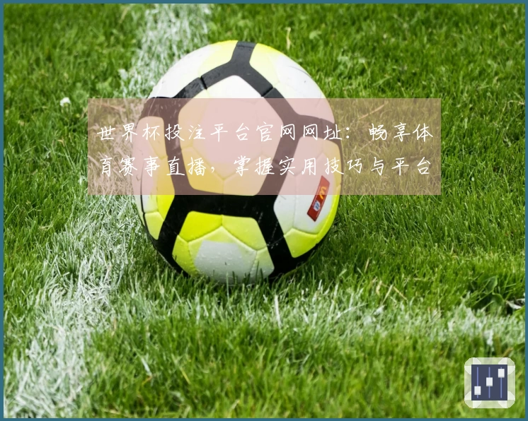 世界杯投注平台官网网址:畅享体育赛事直播,掌握实用技巧与平台亮点