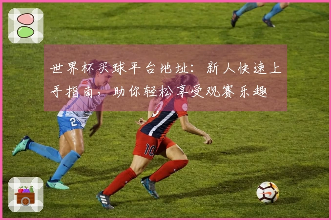 世界杯买球平台地址：新人快速上手指南，助你轻松享受观赛乐趣
